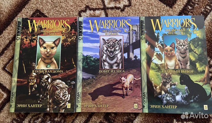 Коты воители манга Звездоцап и Саша