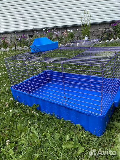 Клетка для декоративного кролика