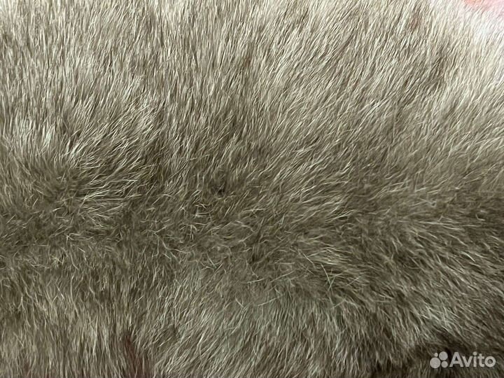 Меховой воротник песец. Дымчатого цвета