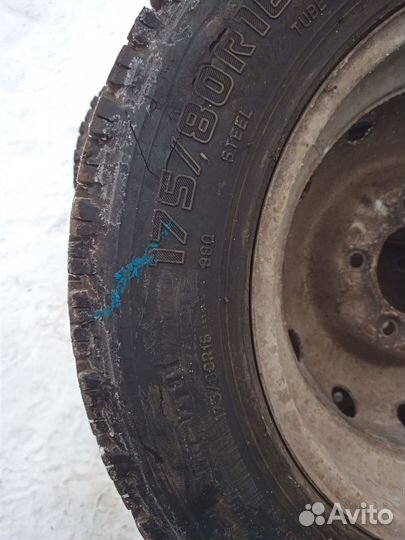 Forward Arctic 511 175/80 R16