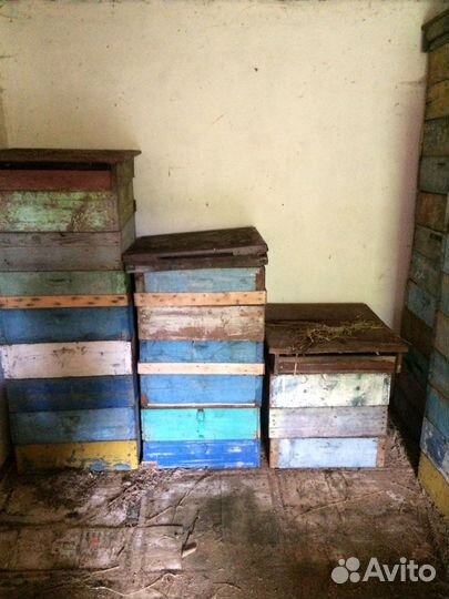 Ульи инвентарь для пчеловодства