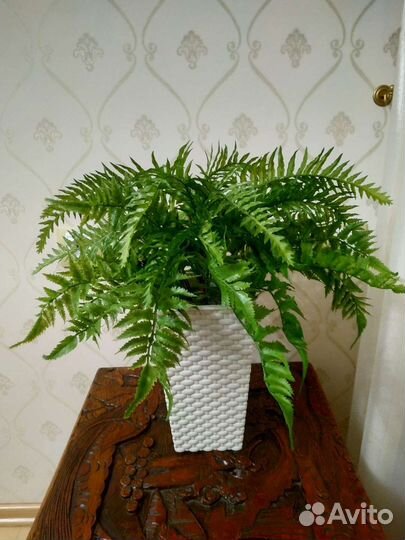 Искусственное дерево папоротник,композиция в кашпо