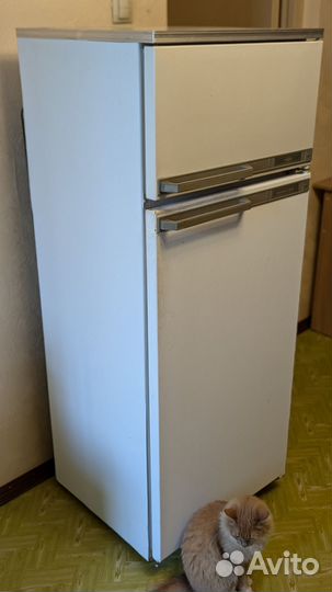 Бронь Холодильник в деревню на дачу Минск 15и