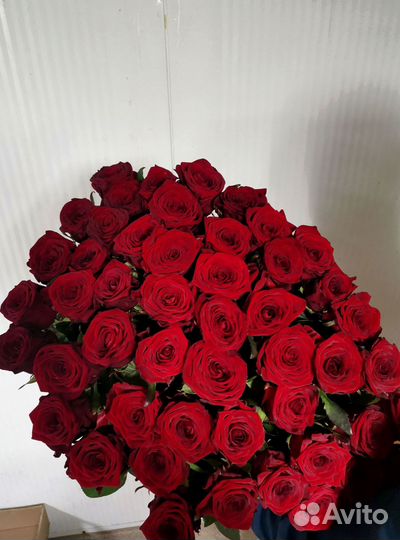 Букет роз. Розы