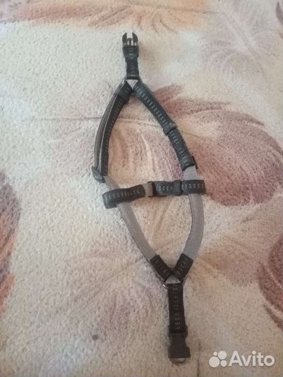 Ошейник для собак