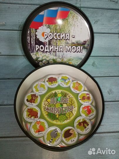 Развивающие игры о России