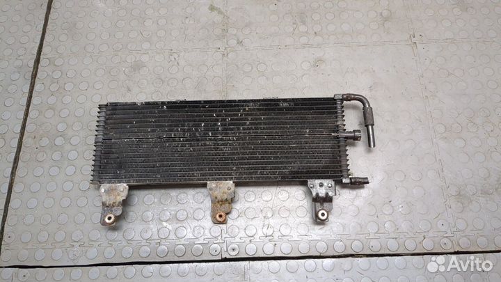 Радиатор масляный Nissan Pathfinder, 2008