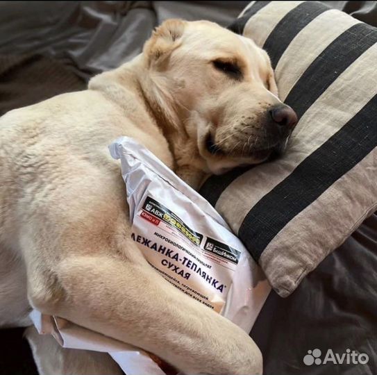 Живые бактерии. Ферментационная подстилка