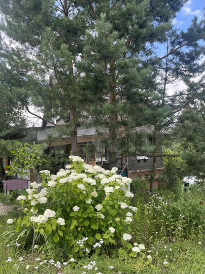 Дача 40 м² на участке 6 сот.