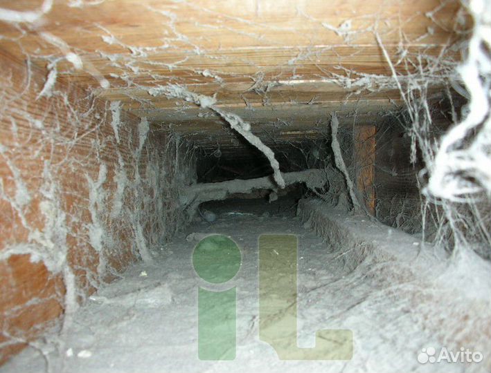 Телеинспекция и Видеоинспекция и Видеодиагностика