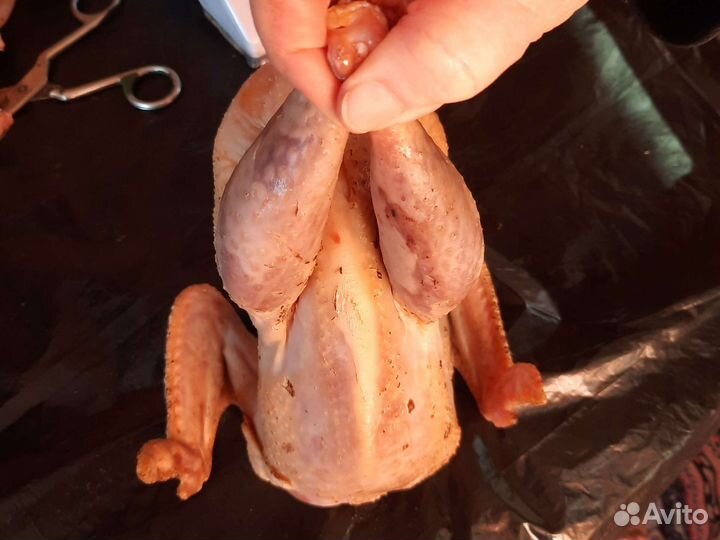 Куры Утки Петухи Цыплята