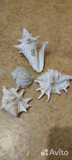 Гротики для аквариума