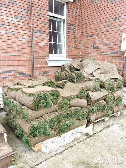 Рулонный газон под ключ