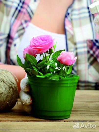 Роза - грунт 5л