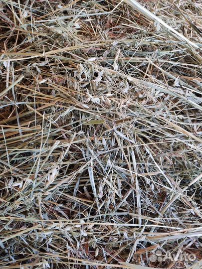 Сено, солома