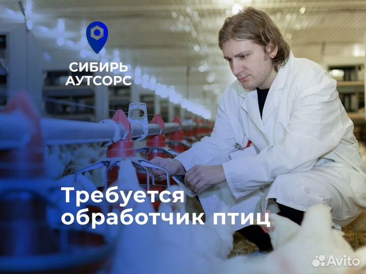 Обработчик птицы