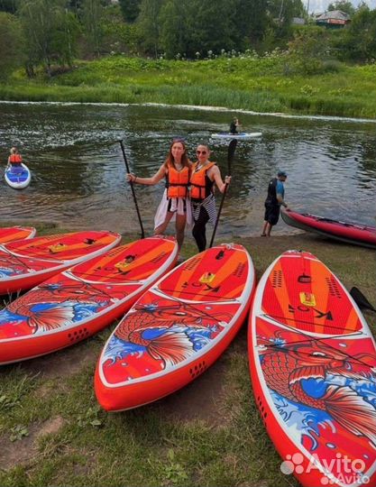 Сап борд кои карп