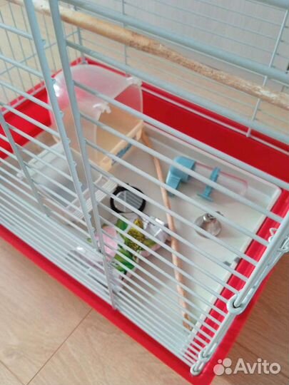 Клетка для птиц бу