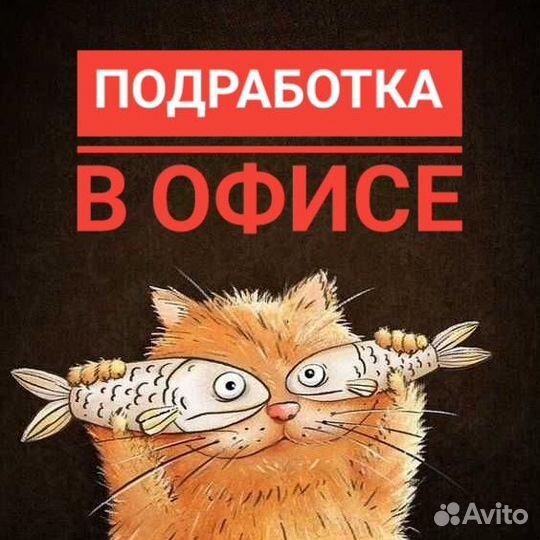 Администратор на полдня с ежедневной оплатой