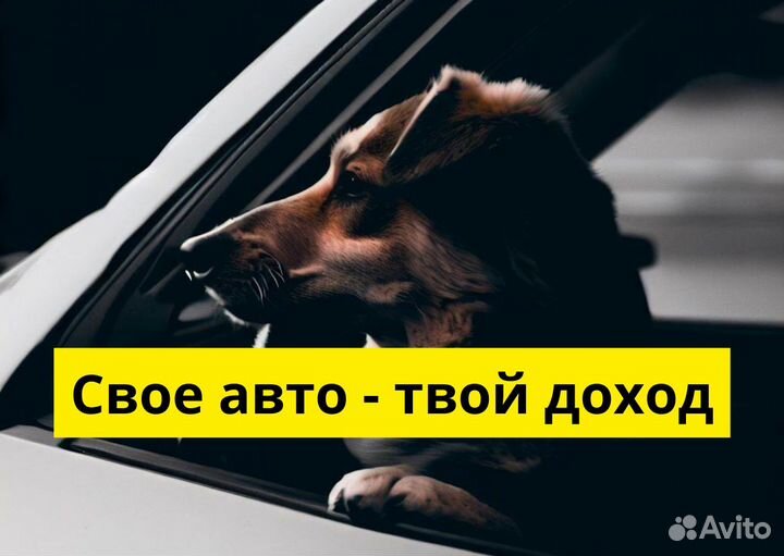 Начни карьеру водителя в Яндекс Go