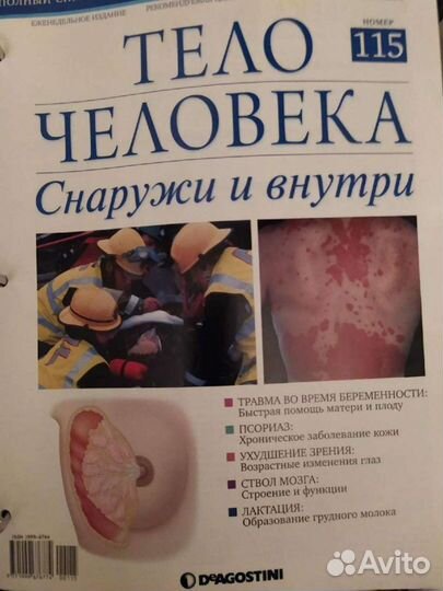 Медицинская энциклопедия