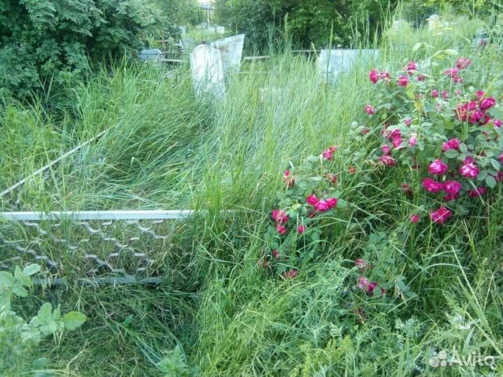 Уборка могил, покраска