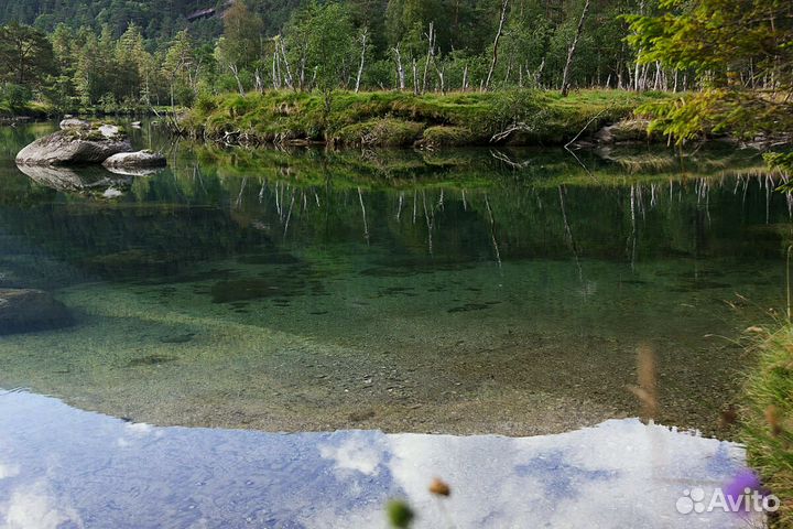 Мастер на все руки