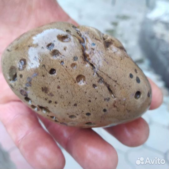 Метеорит