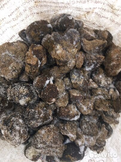 Навоз конский