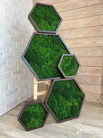 Соты из стабилизированного мха