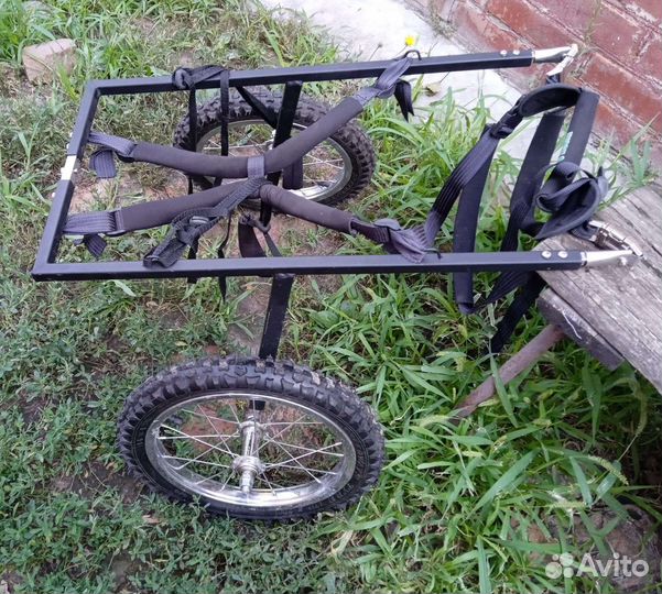 Инвалидная коляска для собак