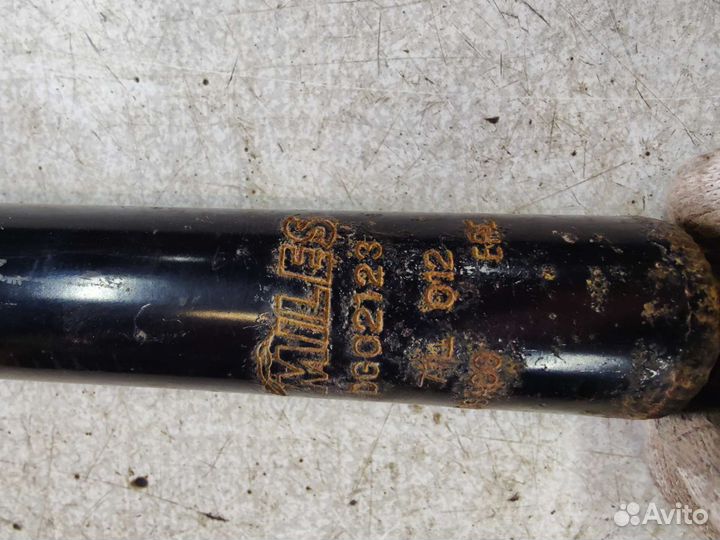 Стойки амортизатор задний Ford Focus 1