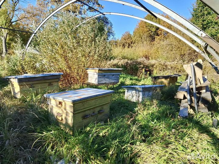 Ульи лежаки 24 рамки