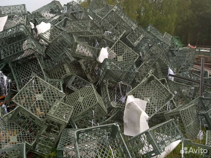 Пластиковые ящики для овощей бу