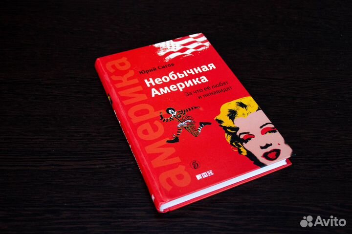 «Необычная Америка. За что ее любят и ненавидят»