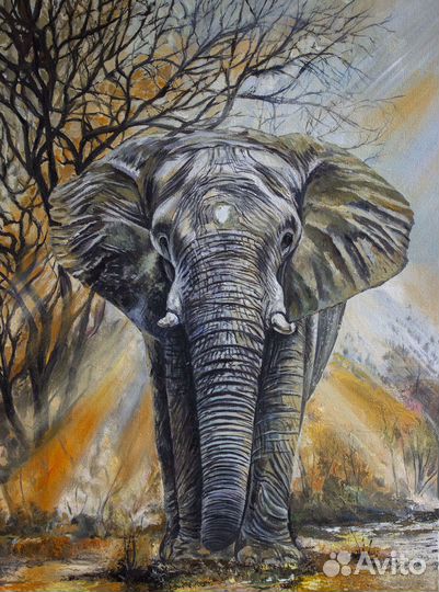 Картина Слон интерьерная картина Африка