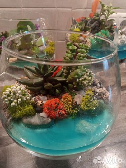 Флорариум 1 сентября День учителя день рождения