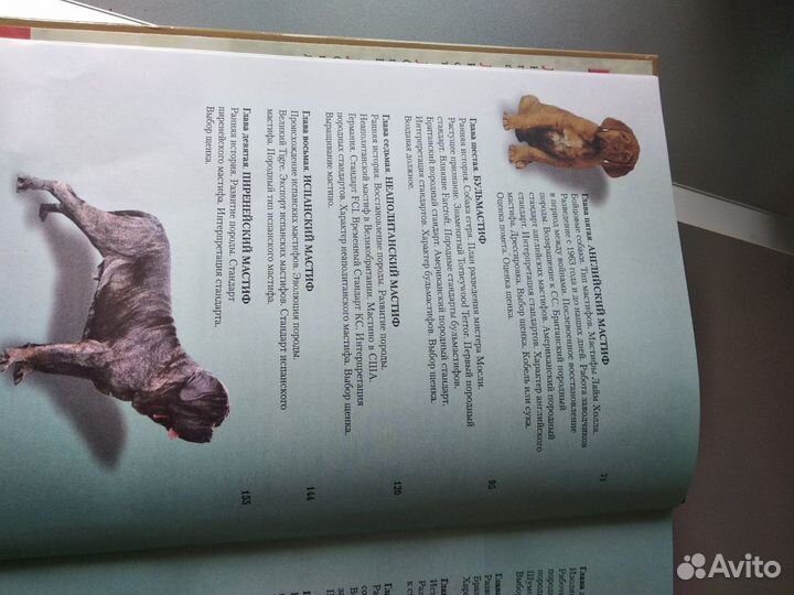 Полный атлас мастифа
