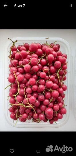 Смородина красная, малина