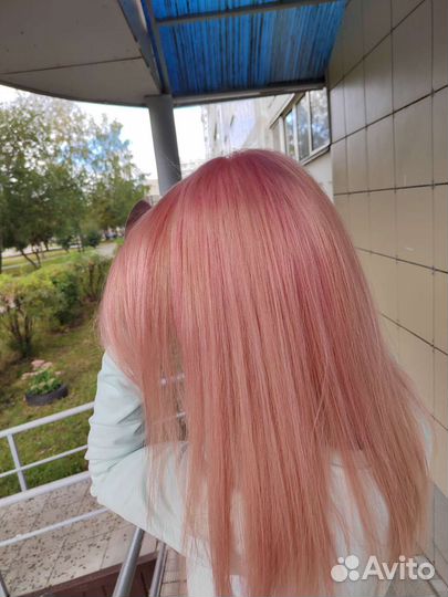 Обучение, курсы, парикмахерские и другие