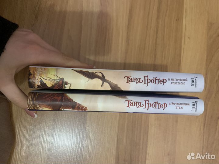 Таня гроттер Дмитрий Емец 2 части