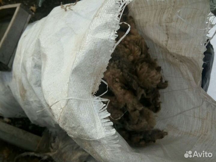 Шерсть овечья