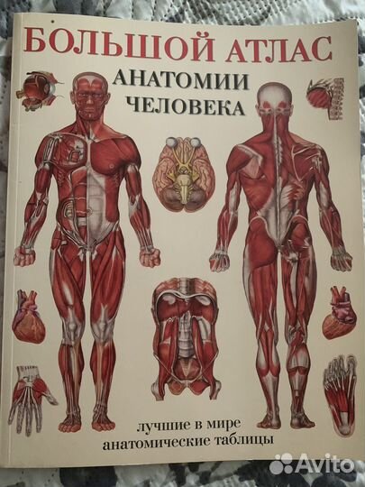 Большой атлас анатомии человека. Мягкая обложка