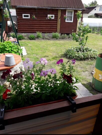 Дача 50 м² на участке 9 сот.