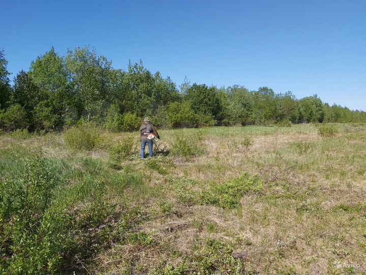 Участок 2 га (СНТ, ДНП)