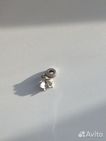 Шарм Pandora орхидея