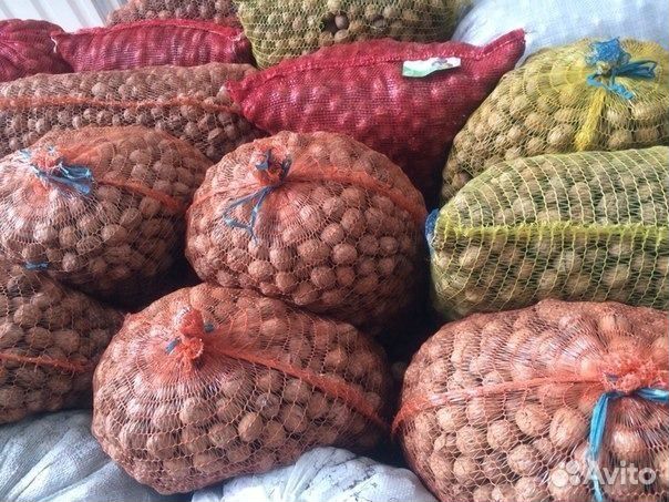 Грецкий орех