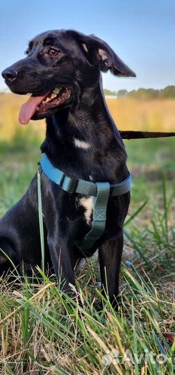 Кай в добрые ручки