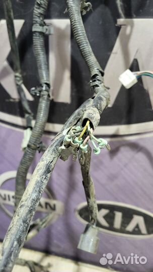 Проводка подкапотная двигателя infiniti QX60