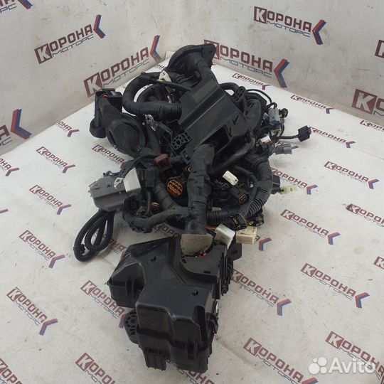 Проводка моторного отсека hyundai Click